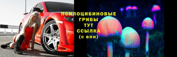 стаф Липки