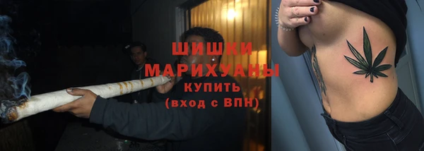 стаф Липки