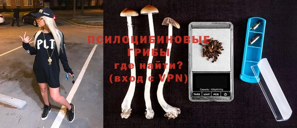 ГАЛЛЮЦИНОГЕННЫЕ ГРИБЫ Лиски