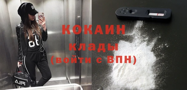 стаф Липки