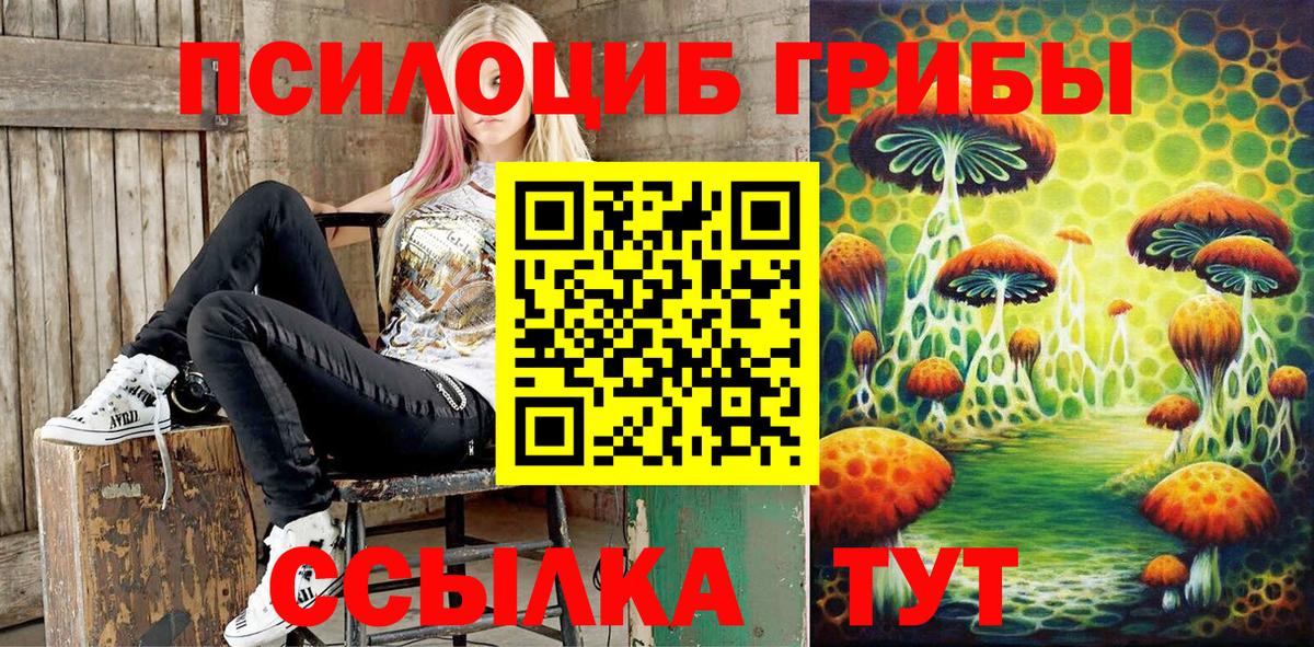 Галлюциногенные грибы Cubensis Липецк